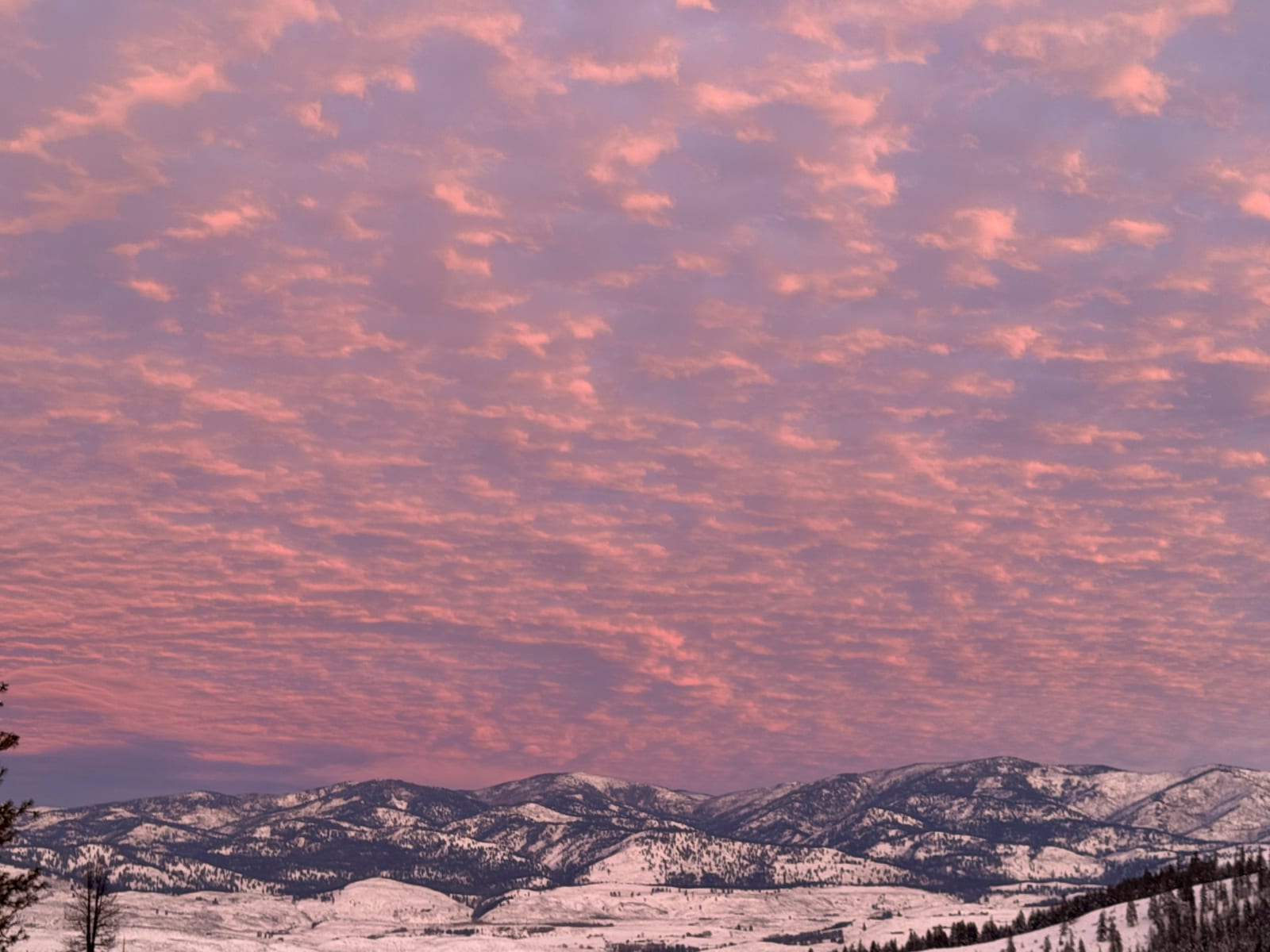 Pink clouds at dawn over snowy mountains