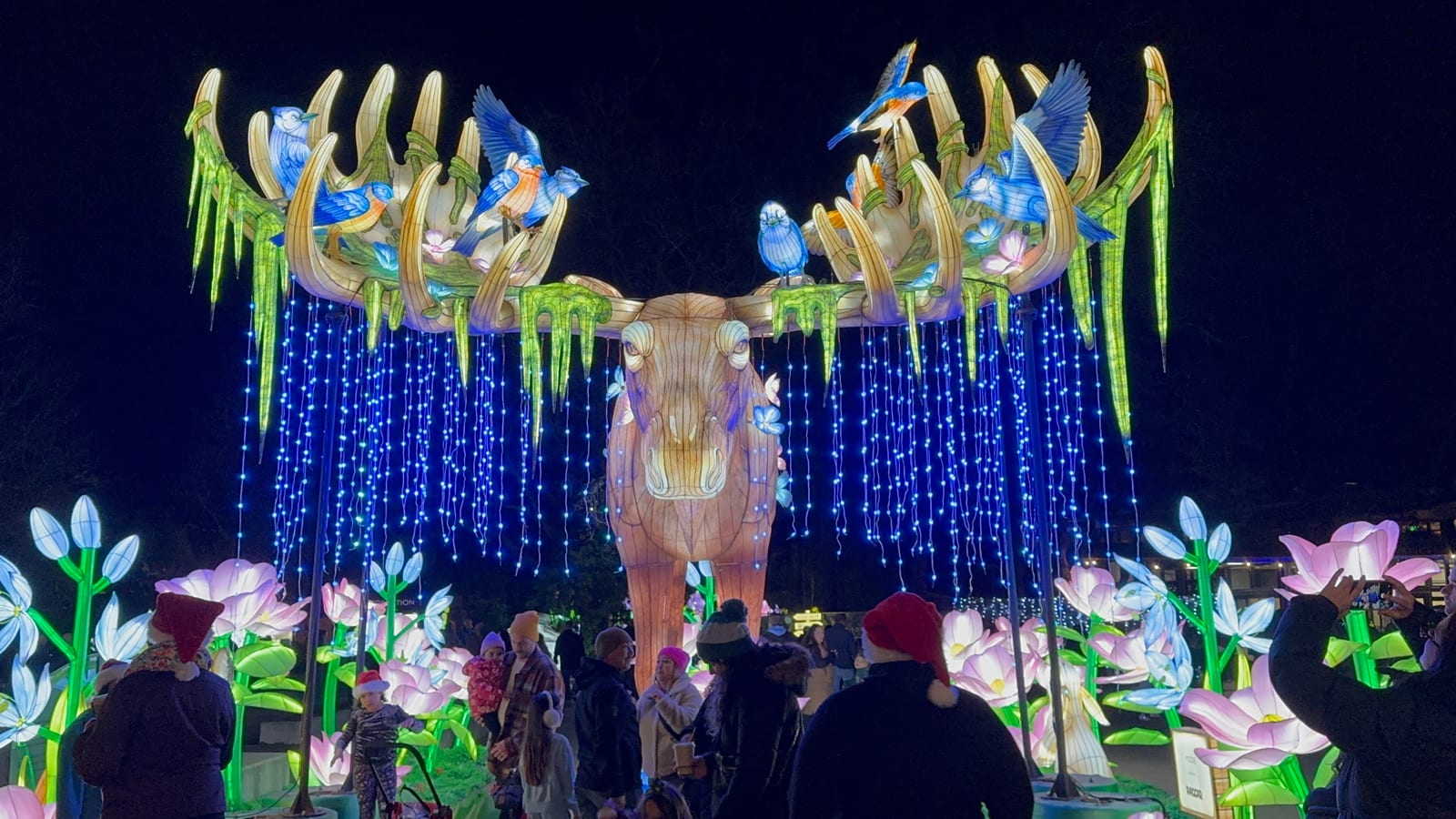 Lantern displays at the Woodland Park Zoo lights in Seattle
